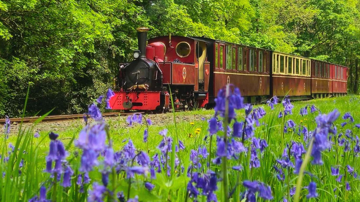 Whistlestop Valley